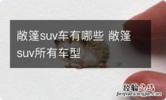 敞篷suv车有哪些 敞篷suv所有车型