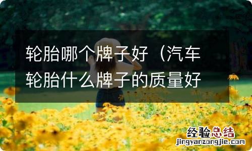 汽车轮胎什么牌子的质量好 轮胎哪个牌子好