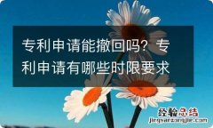 专利申请能撤回吗？专利申请有哪些时限要求？