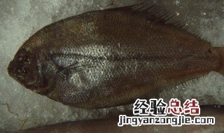 鳑鲏鱼吃什么东西视频 鳑鲏鱼吃什么东西