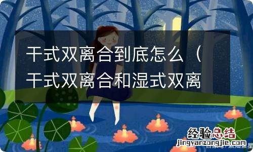 干式双离合和湿式双离合 干式双离合到底怎么