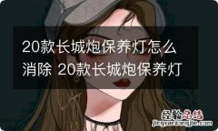 20款长城炮保养灯怎么消除 20款长城炮保养灯怎么消除仪表盘上没有按钮