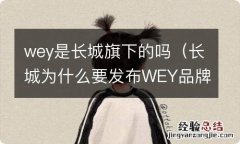 长城为什么要发布WEY品牌 wey是长城旗下的吗