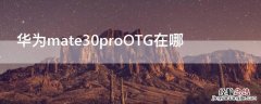 华为mate30proOTG在哪