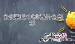 微机原理or怎么算 微机原理中OR是什么意思