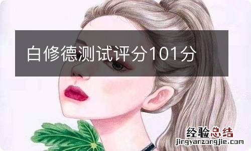 白修德测试评分101分