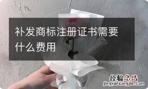 补发商标注册证书需要什么费用