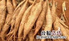 葛根怎么种植 葛根怎么种植技术视频