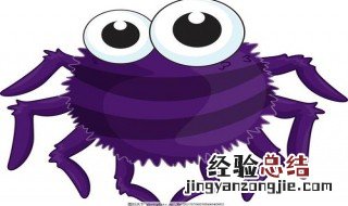 家里有蜘蛛预示什么预兆 家里有蜘蛛预示什么