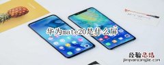 华为mate20是什么屏