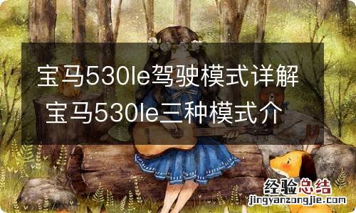 宝马530le驾驶模式详解 宝马530le三种模式介绍