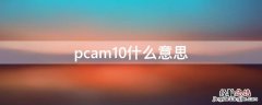 pcam10什么意思