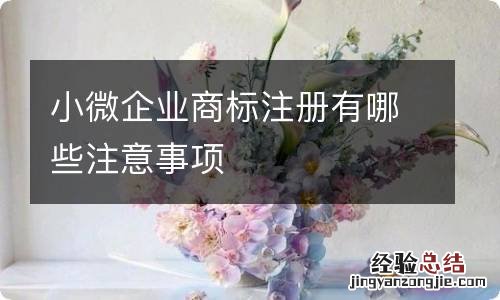 小微企业商标注册有哪些注意事项