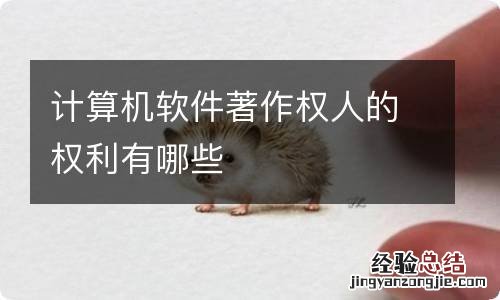 计算机软件著作权人的权利有哪些