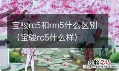 宝骏rc5什么样 宝骏rc5和rm5什么区别