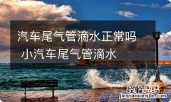 汽车尾气管滴水正常吗 小汽车尾气管滴水