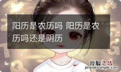 阳历是农历吗 阳历是农历吗还是阴历