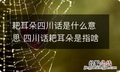 耙耳朵四川话是什么意思 四川话耙耳朵是指啥