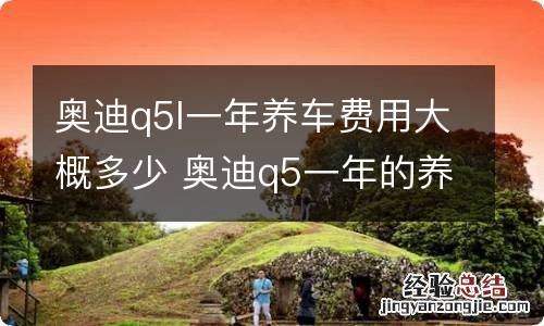 奥迪q5l一年养车费用大概多少 奥迪q5一年的养车费是多少