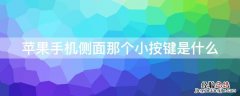 iPhone手机侧面那个小按键是什么