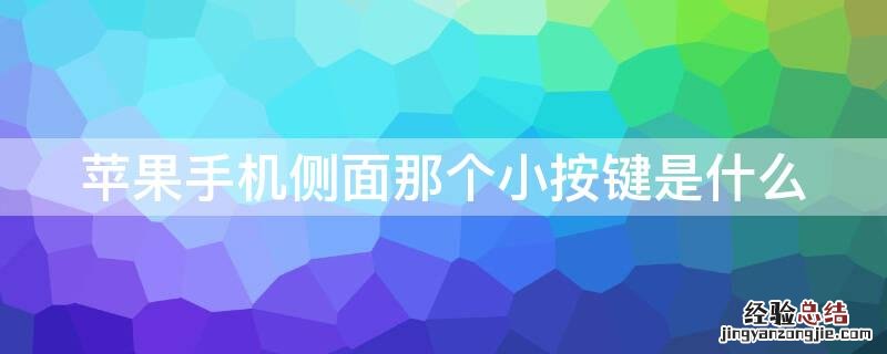 iPhone手机侧面那个小按键是什么