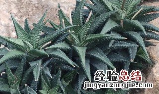 十二风水图解 十二卷的风水学应用