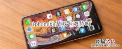 iphonexs是双卡双待吗