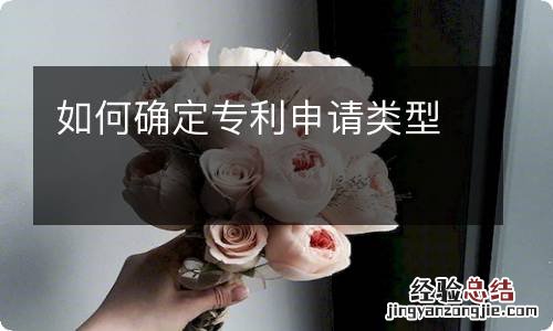 如何确定专利申请类型