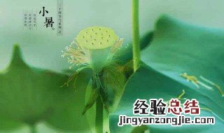 小暑节气说说 节气小暑朋友圈