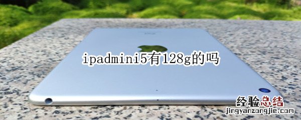 ipadmini5有128g的吗