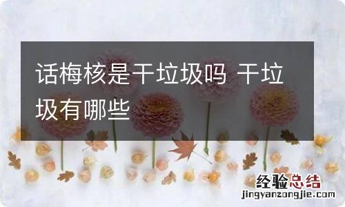 话梅核是干垃圾吗 干垃圾有哪些