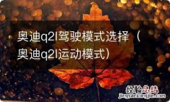 奥迪q2l运动模式 奥迪q2l驾驶模式选择