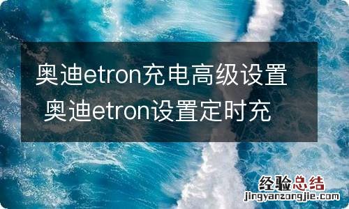 奥迪etron充电高级设置 奥迪etron设置定时充电