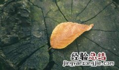 天气冷了的关心语句 天气冷了的关心语句发朋友圈