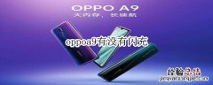 oppoa9有没有闪充