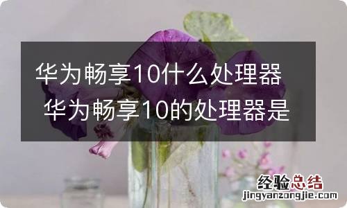 华为畅享10什么处理器 华为畅享10的处理器是什么