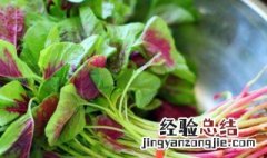 苋菜几月份 什么季节吃苋菜好