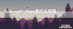 fido uaf client是什么权限