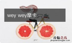 wey wey摩卡