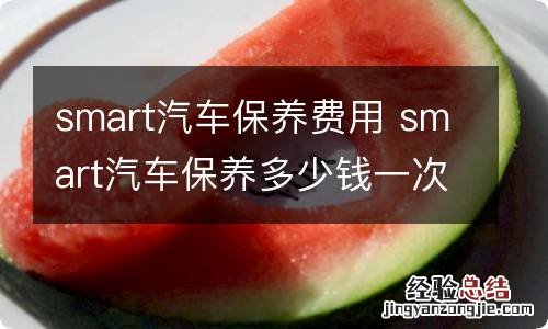 smart汽车保养费用 smart汽车保养多少钱一次