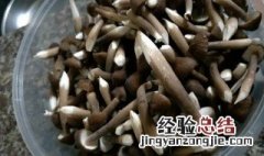 怎样保存鸡枞菌 如何保存新鲜的鸡枞菌