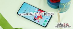 pcam00是什么手机型号