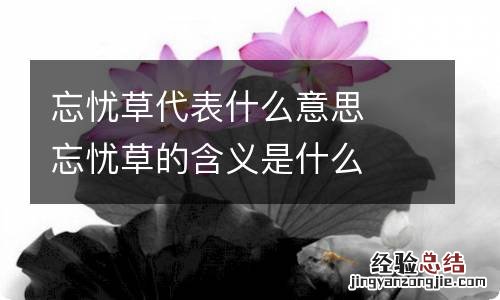 忘忧草代表什么意思忘忧草的含义是什么