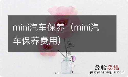 mini汽车保养费用 mini汽车保养