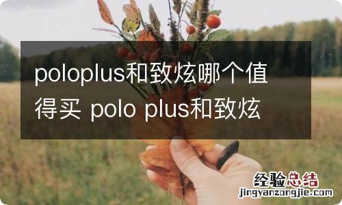 poloplus和致炫哪个值得买 polo plus和致炫哪个值得买