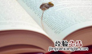 学外语什么梗 学外语梗解释