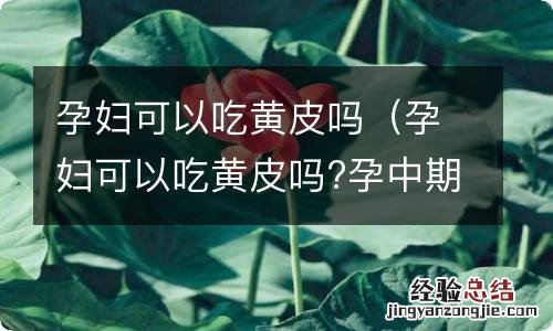 孕妇可以吃黄皮吗?孕中期 孕妇可以吃黄皮吗