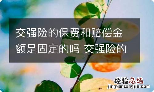 交强险的保费和赔偿金额是固定的吗 交强险的保险金额及赔偿限额