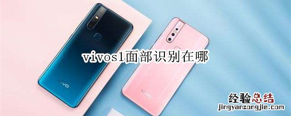 vivos1面部识别在哪