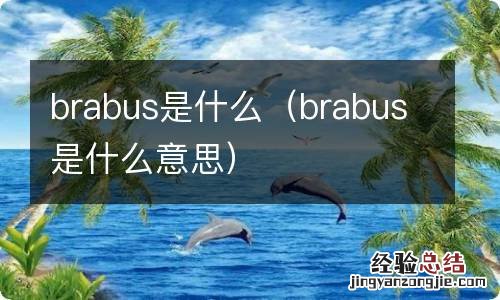 brabus是什么意思 brabus是什么